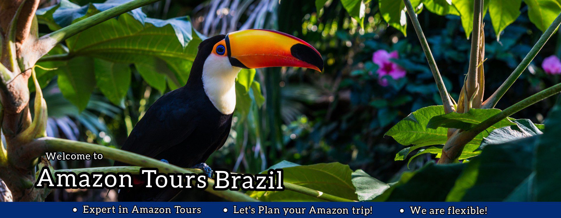 Amazon Tours Brazil